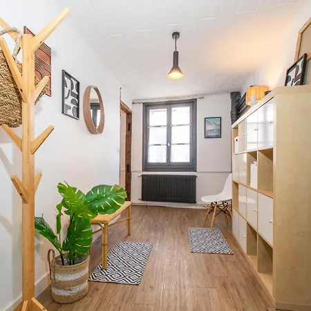 Le St-Jean Apartment Colmar Exterior photo
